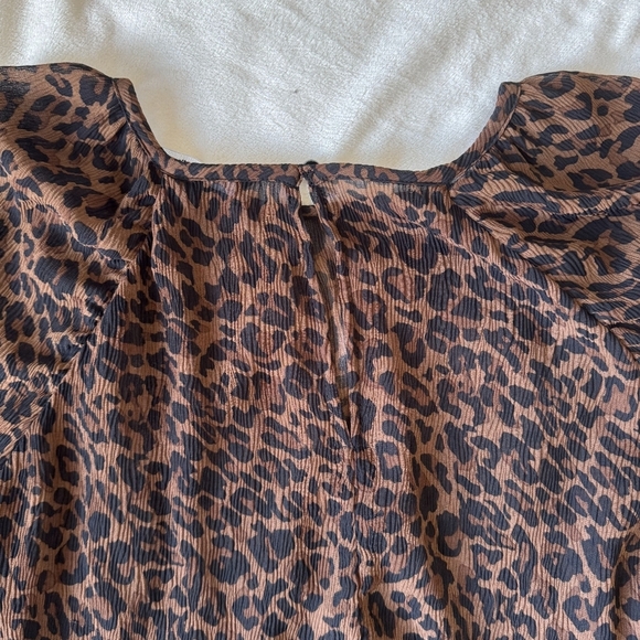 Zara Brown Sheer Leopard Print Blouse - Picture 6 of 9